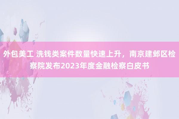 外包美工 洗钱类案件数量快速上升，南京建邺区检察院发布2023年度金融检察白皮书