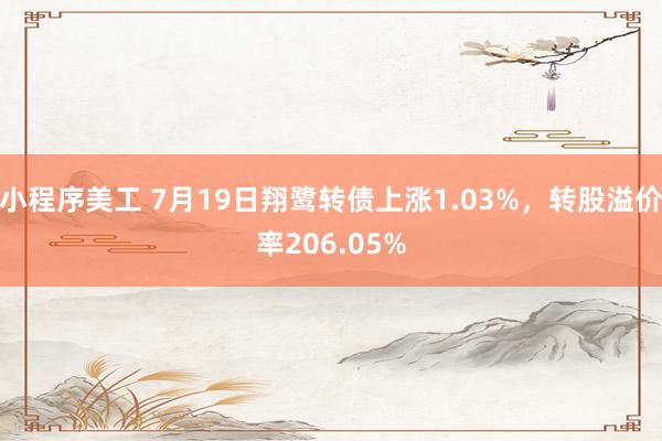 小程序美工 7月19日翔鹭转债上涨1.03%，转股溢价率206.05%