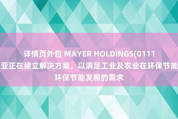 详情页外包 MAYER HOLDINGS(01116)：广州美亚正在建立解决方案，以满足工业及农业在环保节能发展的需求